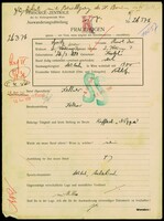Applicant: Spitz, Karl; born 26.3.1880 in Kostel (Czech Republic); married.