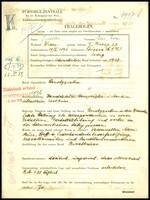 Applicant: Tischler, Elis Eva; born 19.10.1896 in Stupava (Slovakia); single.