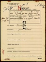 Applicant: Zwillinger, Renée Sara; born 1.1.1921 in Holešov (Czech Republic); single.