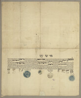 דוד אריה הכהן, טריאסטי.