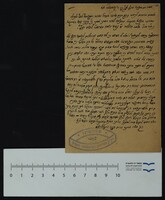 גינז, משה.