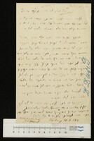 דוד, יודא.
