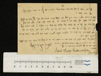 חיות, שאול.