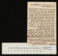 טולידנו, יעקב משה.