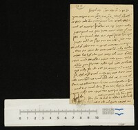 כהן צדק, יוסף.
