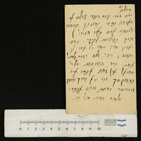 שילר-שינסי, שלמה.